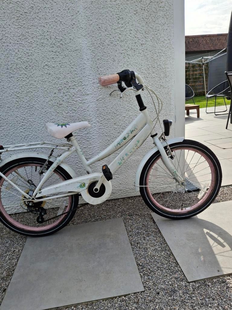 Meisjesfiets 10 jaar, Enlèvement