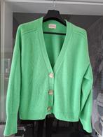 Groene cardigan. Lou Lou studio maat L, Kleding | Dames, Maat 42/44 (L), Ophalen of Verzenden, Zo goed als nieuw, Lou Lou studio
