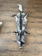 Fourrure brut tannée, Antiquités & Art, Enlèvement