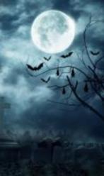 tickets Halloweentocht Plantentuin Meise, Tickets en Kaartjes, Drie personen of meer, Ticket of Toegangskaart