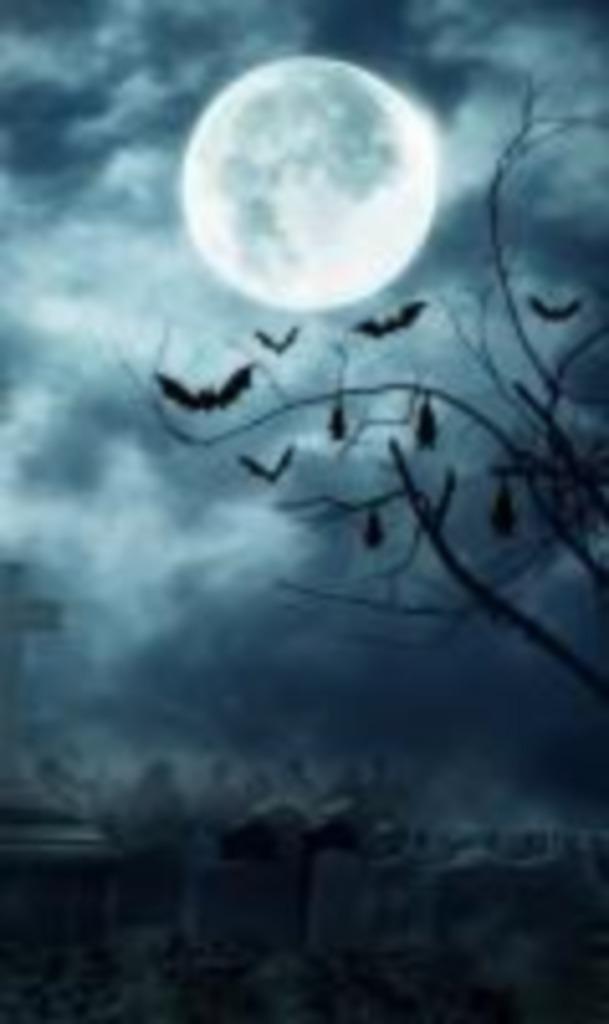 1 ticket Halloweentocht Plantentuin Meise, Tickets en Kaartjes, Recreatie | Overige, Drie personen of meer, Ticket of Toegangskaart