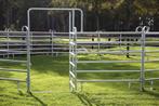 Texas panel, Paneel, Longeercirkel, Box, Vangkooi, Weidegang, 4 paarden of pony's of meer