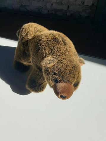 knuffel - beer beschikbaar voor biedingen