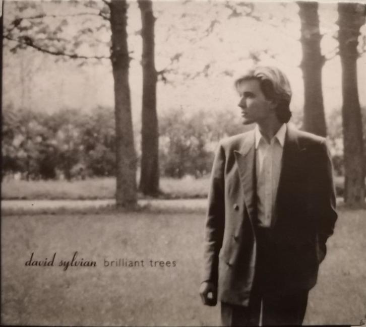 DAVID SYLVIAN - Brilliant trees (CD), Cd's en Dvd's, Cd's | Pop, Zo goed als nieuw, 1980 tot 2000, Ophalen of Verzenden