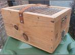 2 kleine reiskooien, Dieren en Toebehoren, Vogels | Duiven
