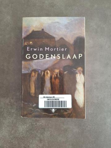 Erwin Mortier - Godenslaap beschikbaar voor biedingen
