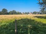 Landbouwgrond gezocht, Dieren en Toebehoren