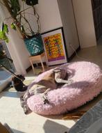 Hondenmand 120cm, wasbaar, Ophalen of Verzenden, Gebruikt, Pluche