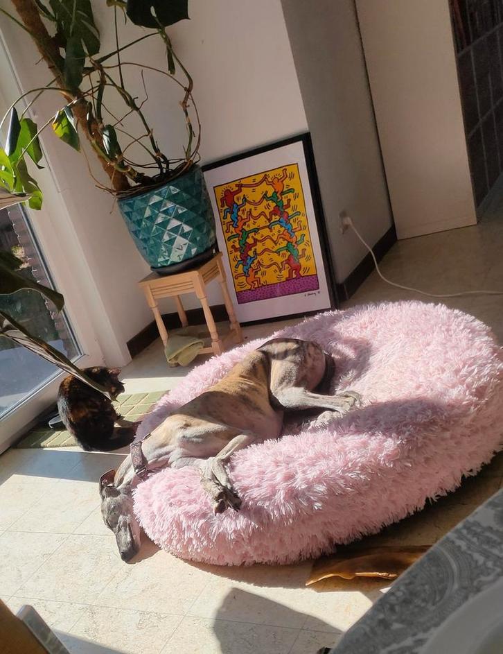 Hondenmand 120cm, wasbaar, Dieren en Toebehoren, Hondenmanden, Gebruikt, Pluche, Ophalen of Verzenden