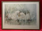 Aquarel 83cm x 63cm, Ophalen, Zo goed als nieuw, 75 tot 100 cm, Tekening