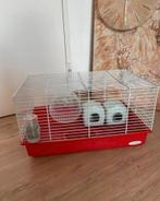 Criceti Cage 9 - Hamsterkooi Ferplast - Ruime Hamsterkooi, Dieren en Toebehoren, Kooi, Minder dan 75 cm, Zo goed als nieuw, Hamster