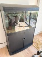 Mooi aquarium compleet, Ophalen, Zo goed als nieuw