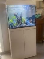 Juwel lido 120, Dieren en Toebehoren, Ophalen, Zo goed als nieuw