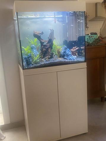 Juwel lido 120 beschikbaar voor biedingen