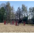 Springruiter aangeboden!, Dieren en Toebehoren, Stalling, 4 paarden of pony's of meer