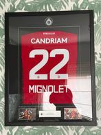 Framed shirt Simon Mignolet, Enlèvement, Comme neuf, Maillot