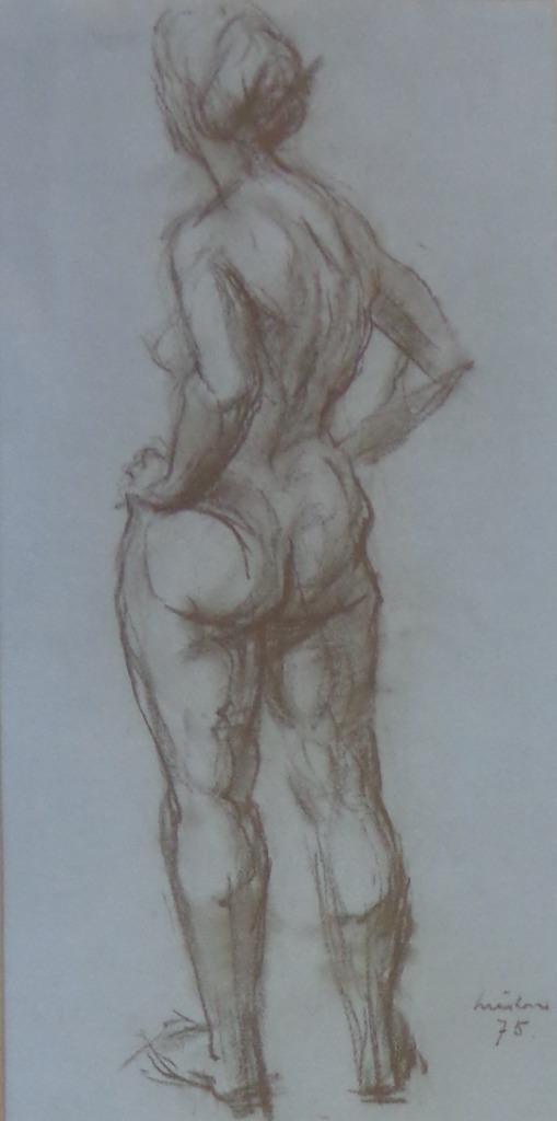 JOOP LIESKER / RUGGELINGS NAAKT / ORIGINEEL / 78x48cm KADER, Antiquités & Art, Art | Peinture | Moderne, Enlèvement