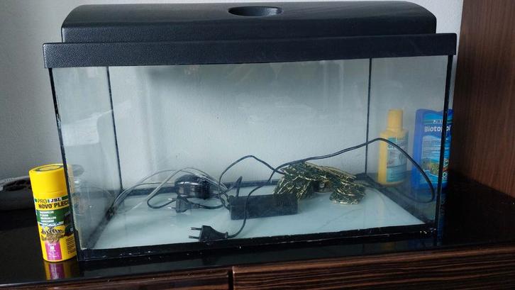 AQUARIUM 60L +++, Dieren en Toebehoren, Vissen | Aquaria en Toebehoren, Gebruikt, Leeg aquarium, Ophalen
