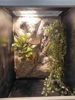 2x Terrarium 45x45x60, Ophalen, Zo goed als nieuw