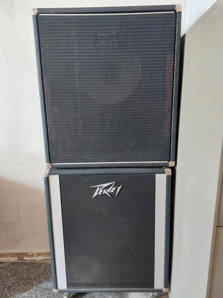 Peavey 1x15" cabs, Muziek en Instrumenten, Versterkers | Bas en Gitaar, Zo goed als nieuw, Ophalen