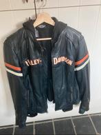 Harley Davidson Dames, Motos, Harley Davidson, Femmes, Manteau | cuir, Seconde main