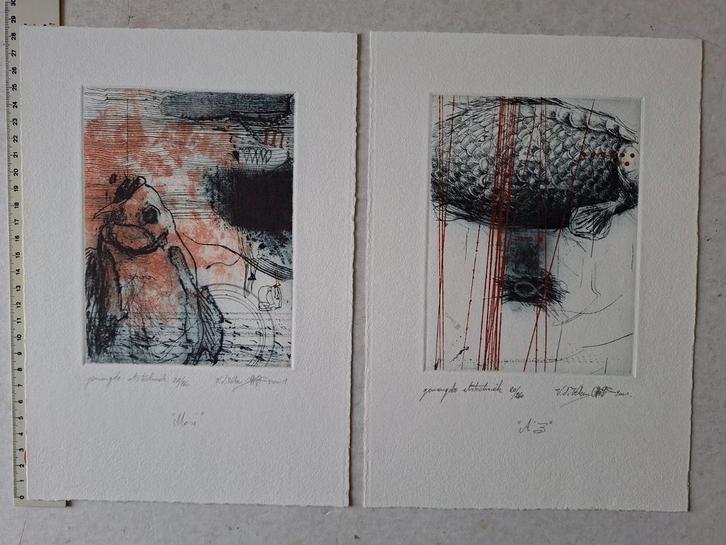 Twee kleuretsen van Chris Van der Veken uit 2001, Antiek en Kunst, Kunst | Etsen en Gravures, Ophalen of Verzenden