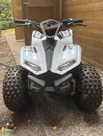 Kinder Quad 1,5 jaar oud, 1 cilinder, 12 t/m 35 kW