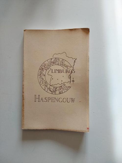 Limburgs Haspengouw, Boeken, Geschiedenis | Stad en Regio, Gelezen, Ophalen of Verzenden