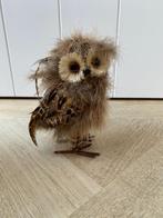 Uiltje, Ophalen of Verzenden