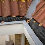 Gootdrain Bladstop - Maten M, L, XL en XXL - Bladvanger - BE, Doe-het-zelf en Bouw, Ophalen of Verzenden, Nieuw