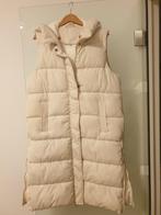 Lange bodywarmer met Kap Large, Ophalen of Verzenden, Zo goed als nieuw, Maat 42/44 (L)