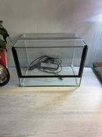 Terrarium Neuf 30x21x20.5, Dieren en Toebehoren, Ophalen, Nieuw, Terrarium of Paludarium