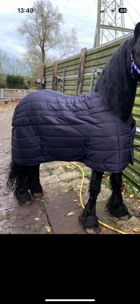 Mooie partij nieuwe staldekens maat 215, Dieren en Toebehoren, Paarden en Pony's | Dekens en Dekjes, Nieuw, Deken, Ophalen