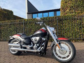 Harley davidson Fat boy 117 (2025) beschikbaar voor biedingen
