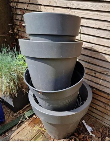 bloempotten rond beschikbaar voor biedingen