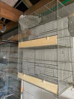 Cage à oiseaux, Animaux & Accessoires, Oiseaux | Cages & Volières, Comme neuf, Cage à oiseaux