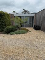 Grind (2 jaar oud), Tuin en Terras, Ophalen, Grind