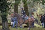 Braaf veelzijdig sportpaard, Animaux & Accessoires, Chevaux, L, Hongre, 7 à 10 ans, 165 à 170 cm
