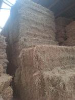 Balles midi, maïs, foin, paille, petits et grands paquets, Enlèvement ou Envoi