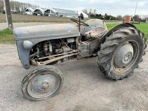 1955 - Ferguson - Oldtimer tractor, Zakelijke goederen, Landbouw | Tractoren, Overige merken, Oldtimer