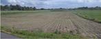Landbouwgrond te koop, Immo, Gronden en Bouwgronden, Beernem, Verkoop zonder makelaar, 1500 m² of meer