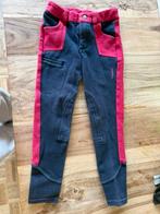 paardrijbroeken, Dieren en Toebehoren, Paardrijkleding, Ophalen, Nieuw