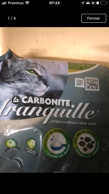 Litière pour chat 