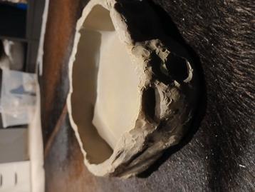 Nieuwe drinkbak beschikbaar voor biedingen