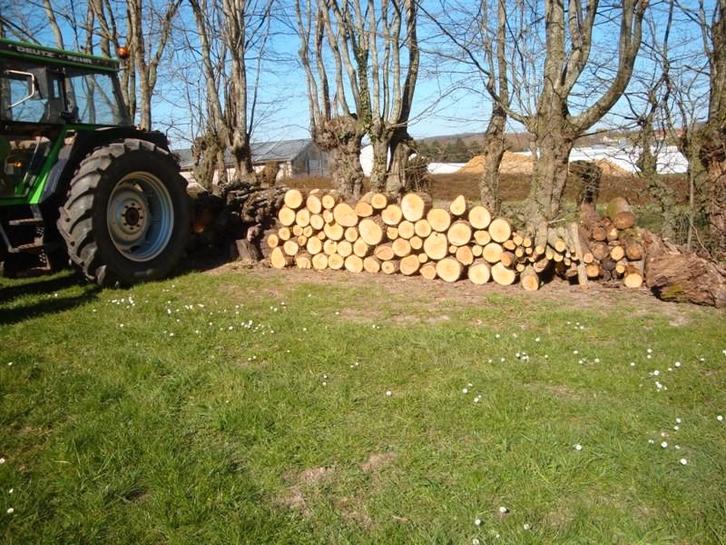bois de chauffage, Tuin en Terras, Brandhout, Blokken, Elzenhout, Ophalen