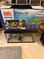 Juwel Primo 60 Aquarium - led, Enlèvement, Utilisé