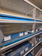 Cages d'élevage Van Cologne, Enlèvement