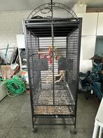 papegaaien kooi, Dieren en Toebehoren