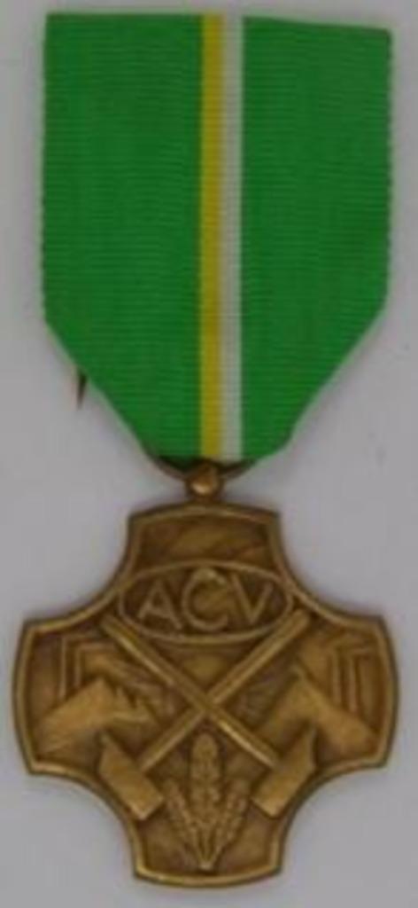 Medaille ACV "hulde en erkentelijkheid', Postzegels en Munten, Penningen en Medailles, Brons, Ophalen of Verzenden