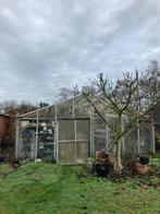 Serre, Tuin en Terras, Ophalen, Gebruikt, Kweekkas, Glas